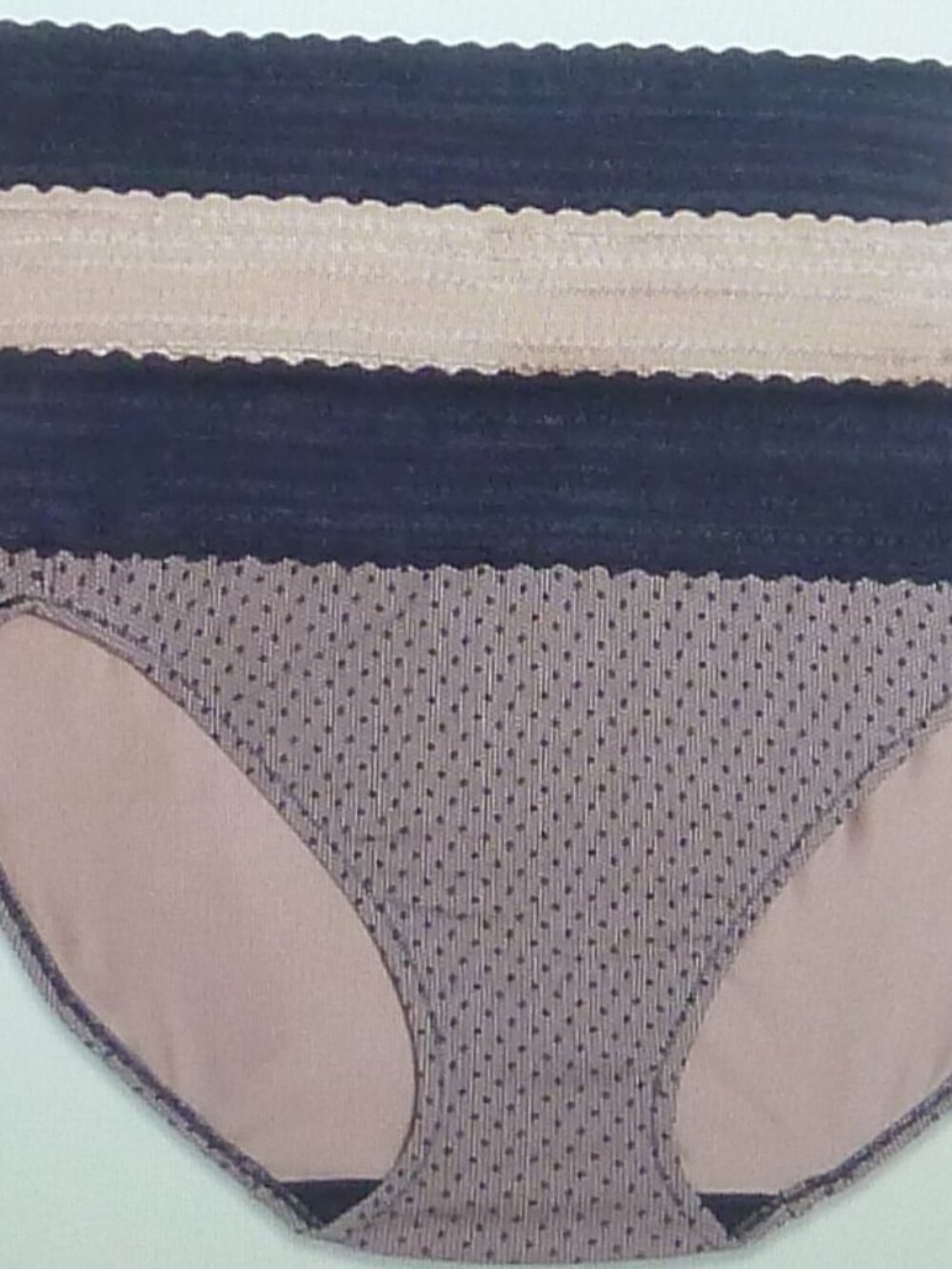 Blissful Benefits Warners Microfiber Panties Size 2XL 9 Hi-Cut Briefs Dig-Free